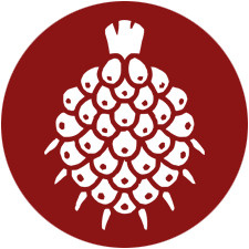 icon02